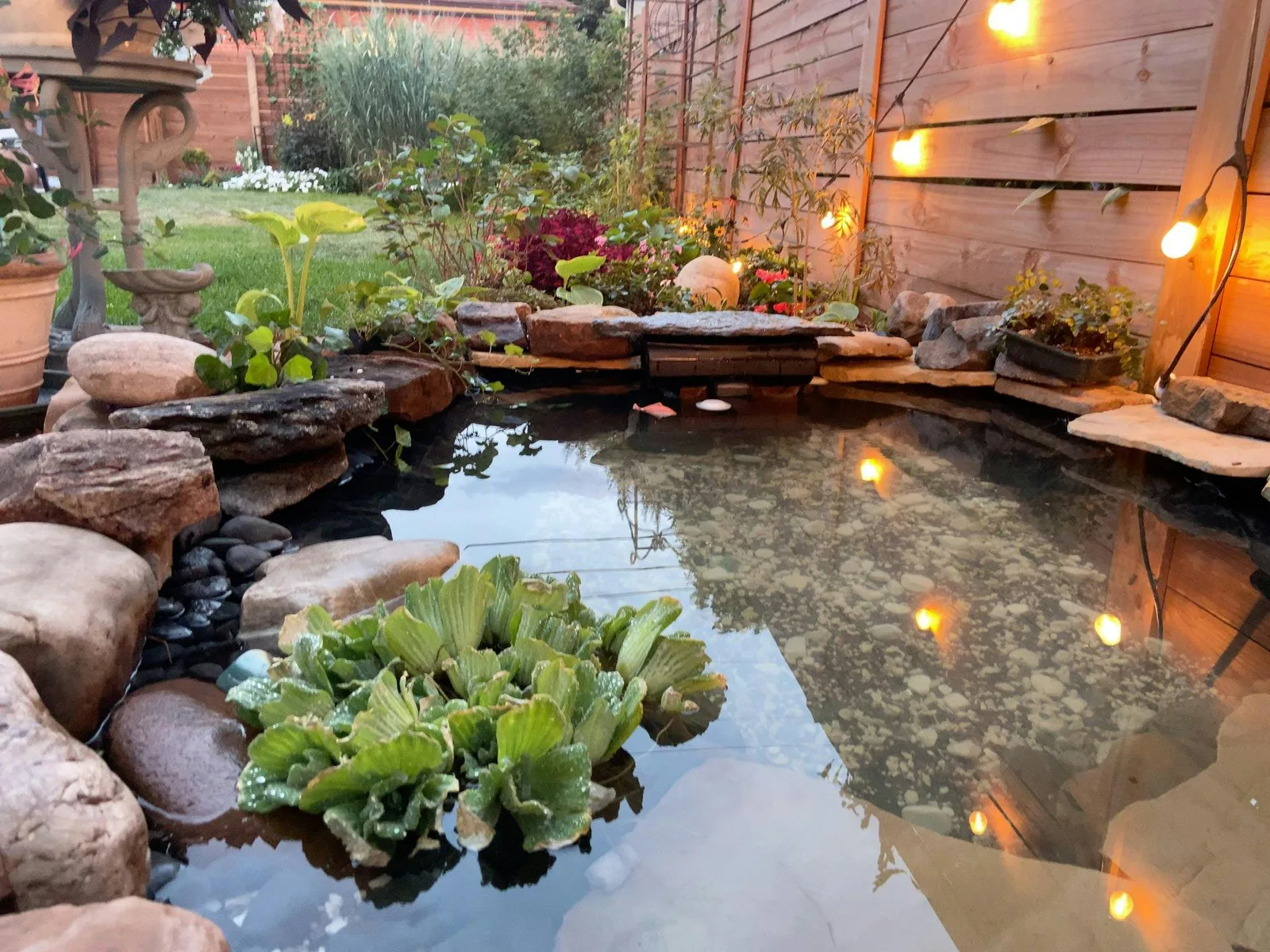 Beach House Photography and Video Studio in Denver — 4