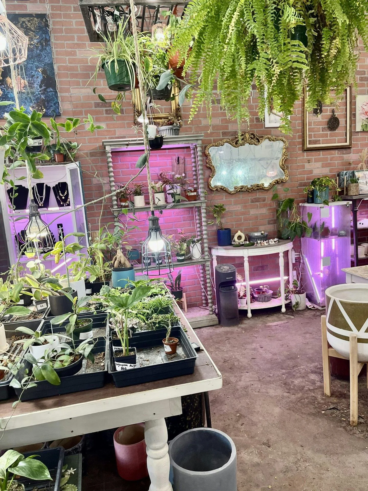 Boutique and Florist Shop on Union Street, Schenectady