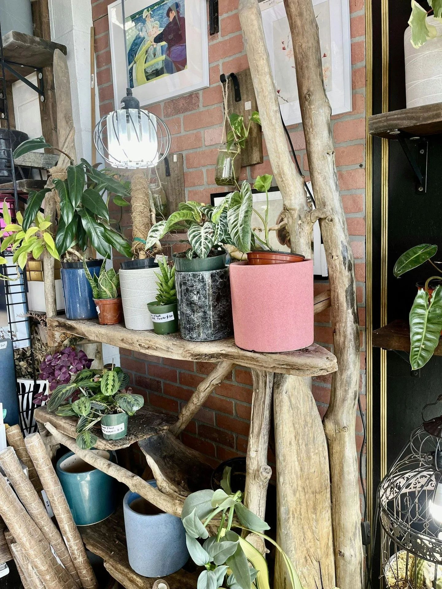 Boutique and Florist Shop on Union Street, Schenectady — 2