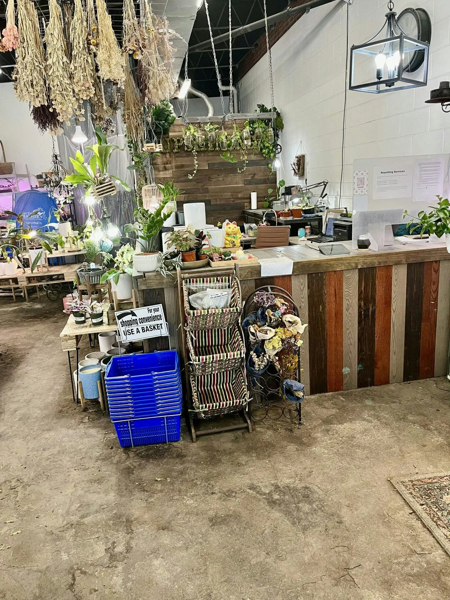 Boutique and Florist Shop on Union Street, Schenectady — 3