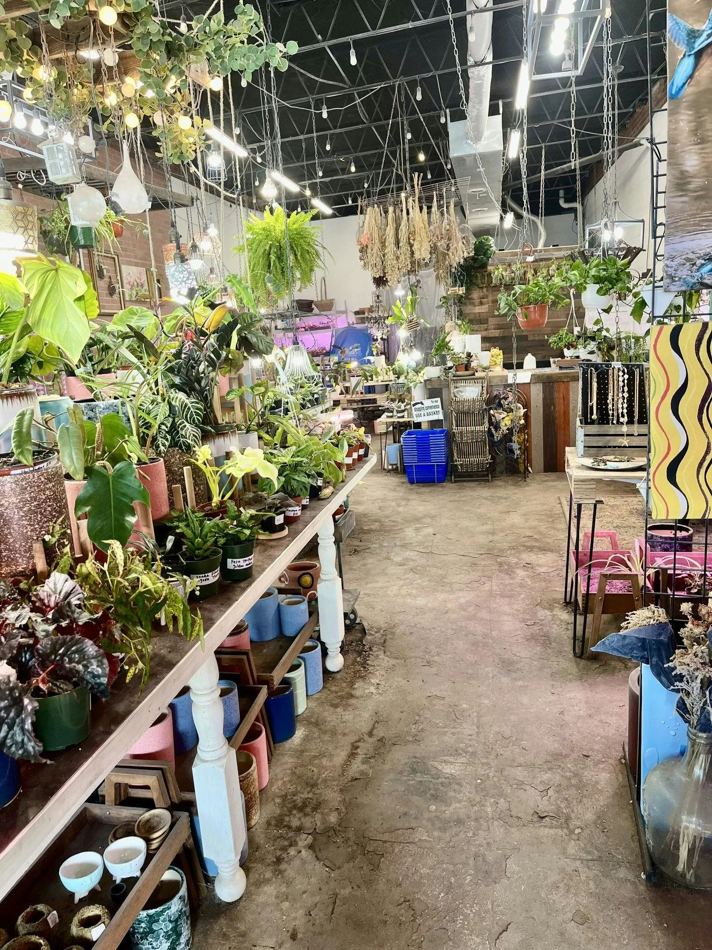 Boutique and Florist Shop on Union Street, Schenectady — 4