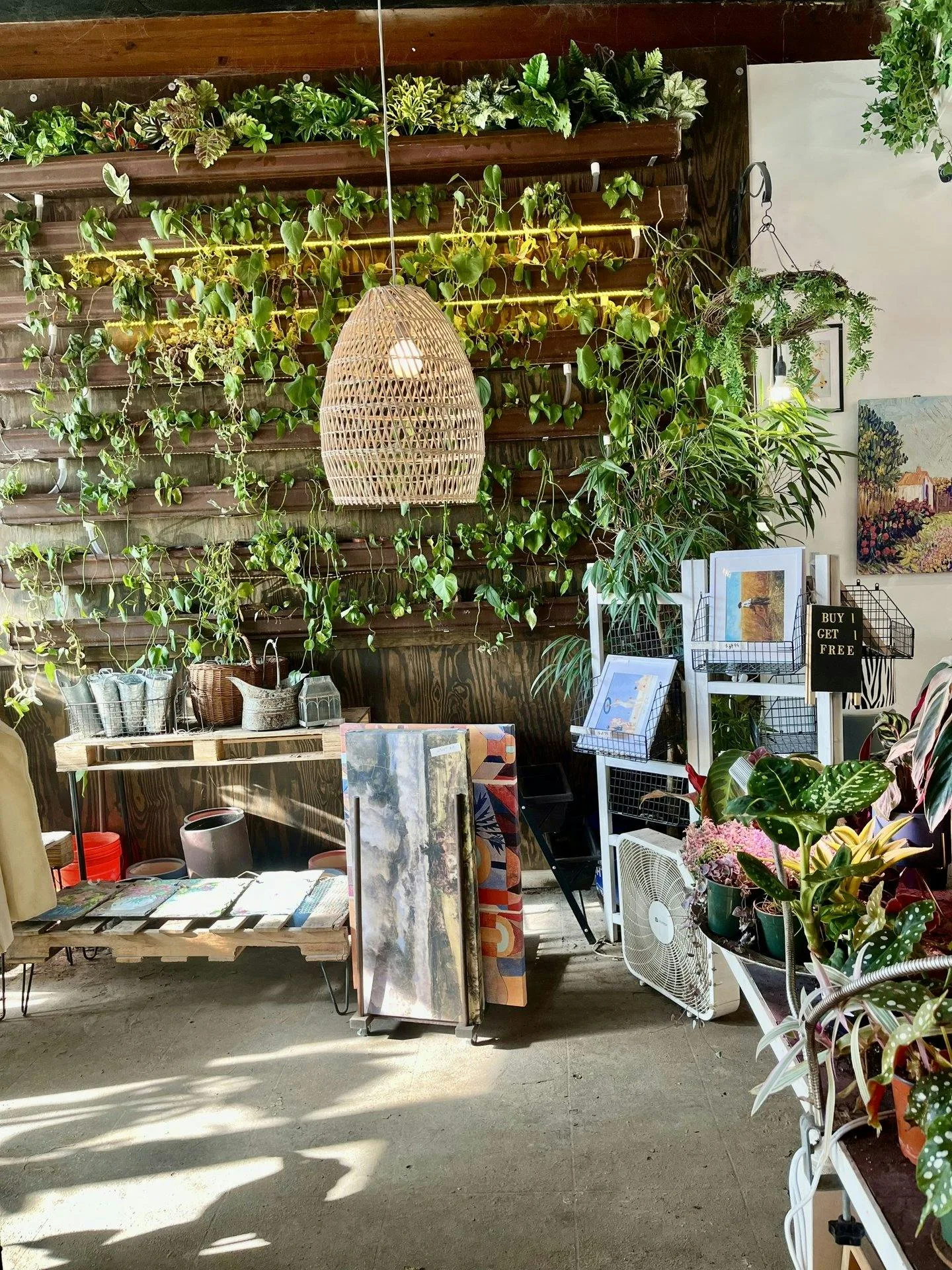 Boutique and Florist Shop on Union Street, Schenectady — 5