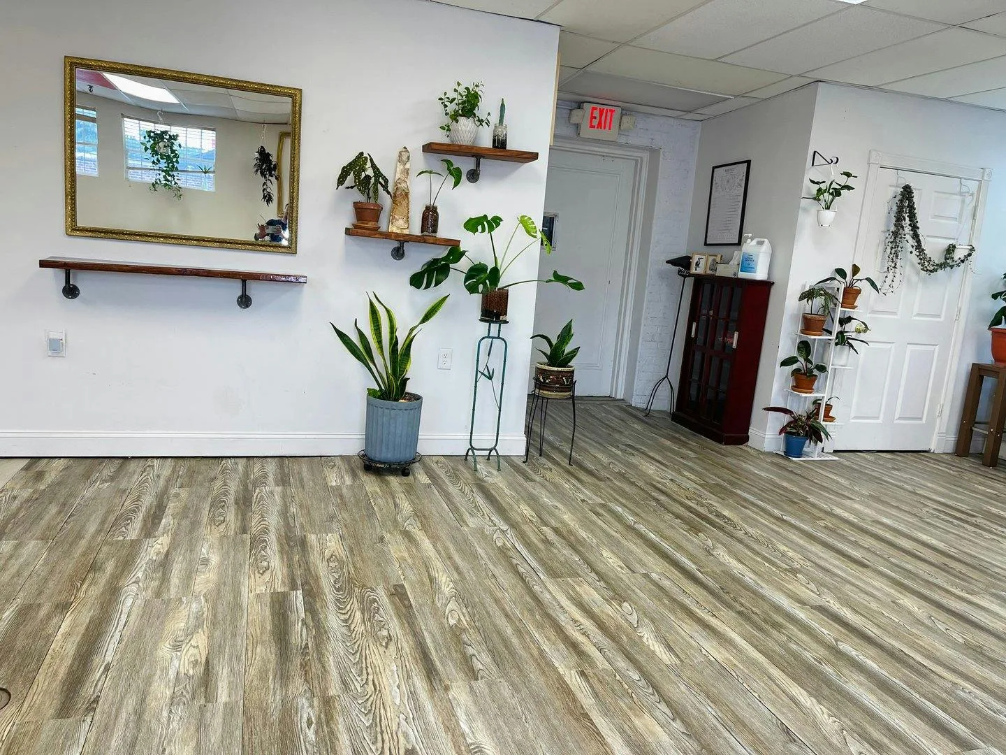 Charming and Spacious Bright Studio in Mount Vernon — 3