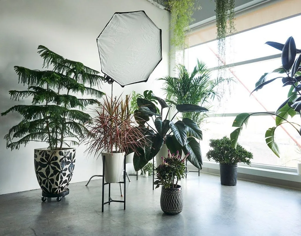 Chic Studio and Gallery Space in Brooklyn — 3