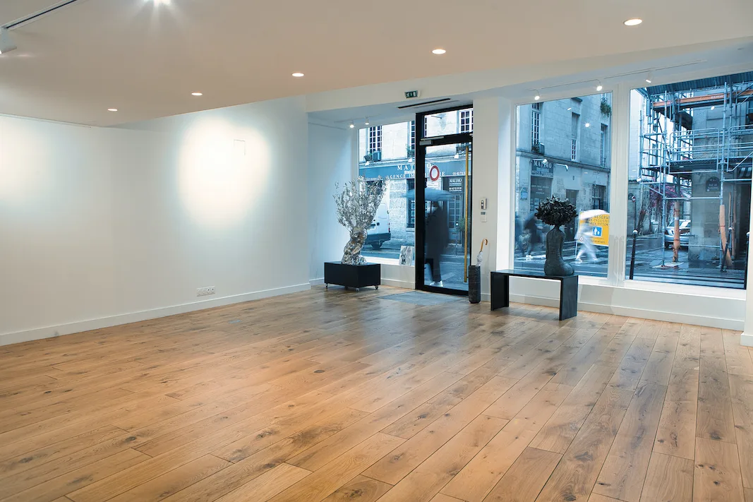 Exceptional Commercial Space - 150m2, 150 sqm, retail activation, pop-up rental in Paris, interior view