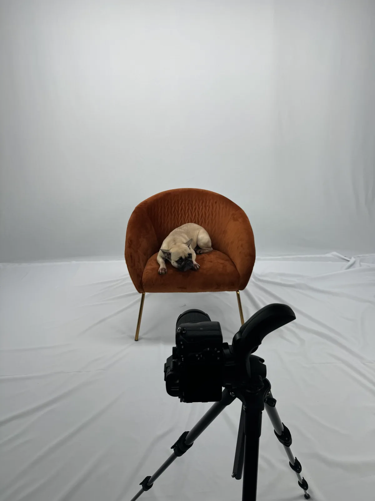 Fully Equipped Photography and Video Studio for Rent, 100 sqm, photo shoot, pop-up rental in Bordeaux, third interior view
