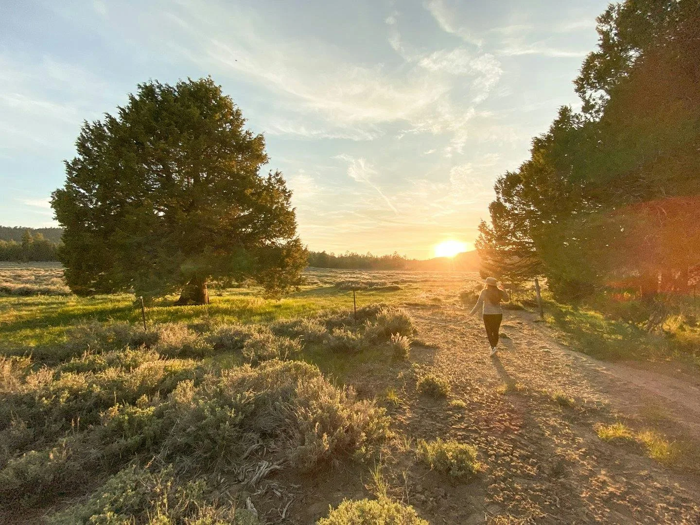 Holcomb Valley Ranch in the Southern California Mountains — 5