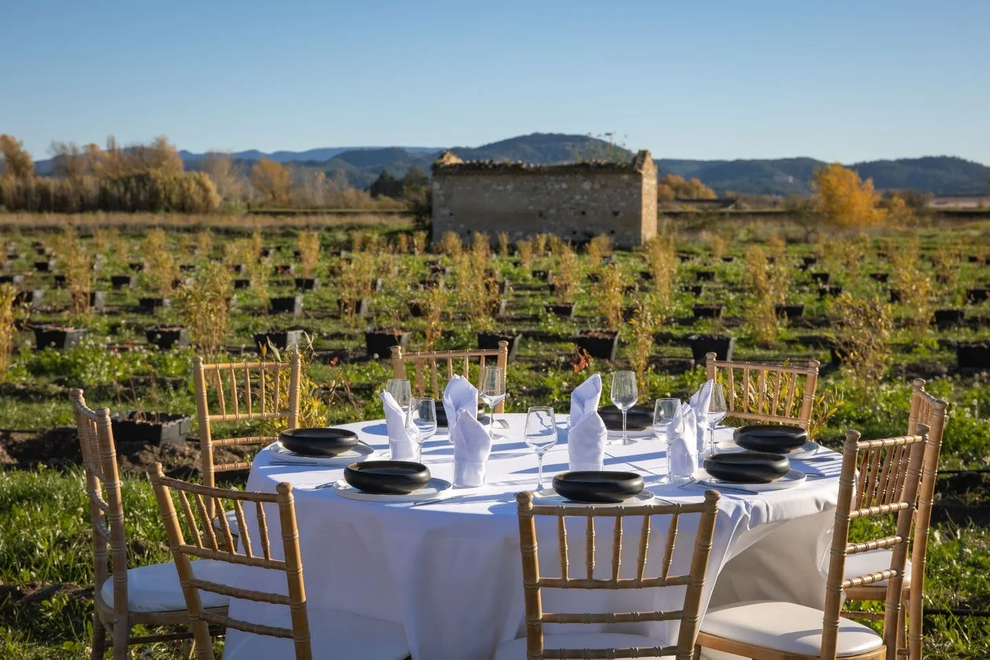 Le Domaine de la Myrtille en Provence — 3