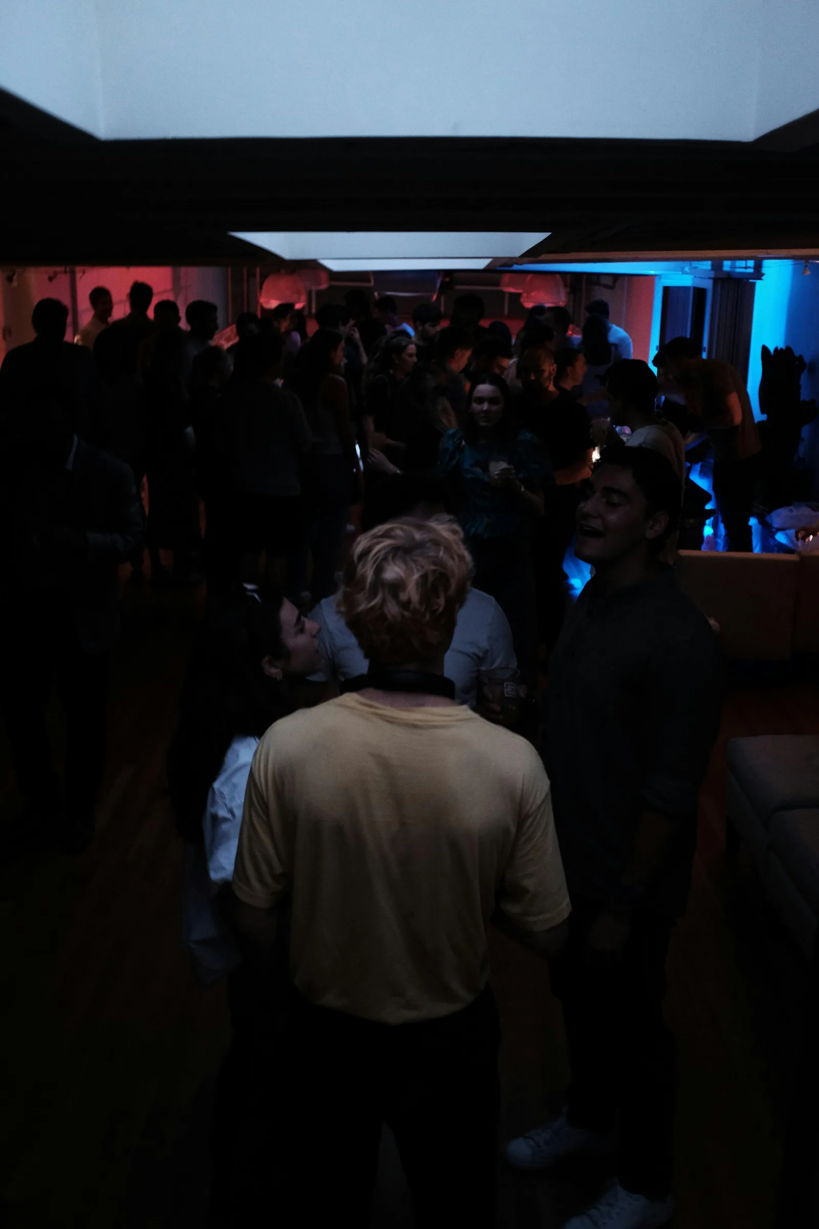 Mezzanine Lounge at 137 Perry Street, New York — 5