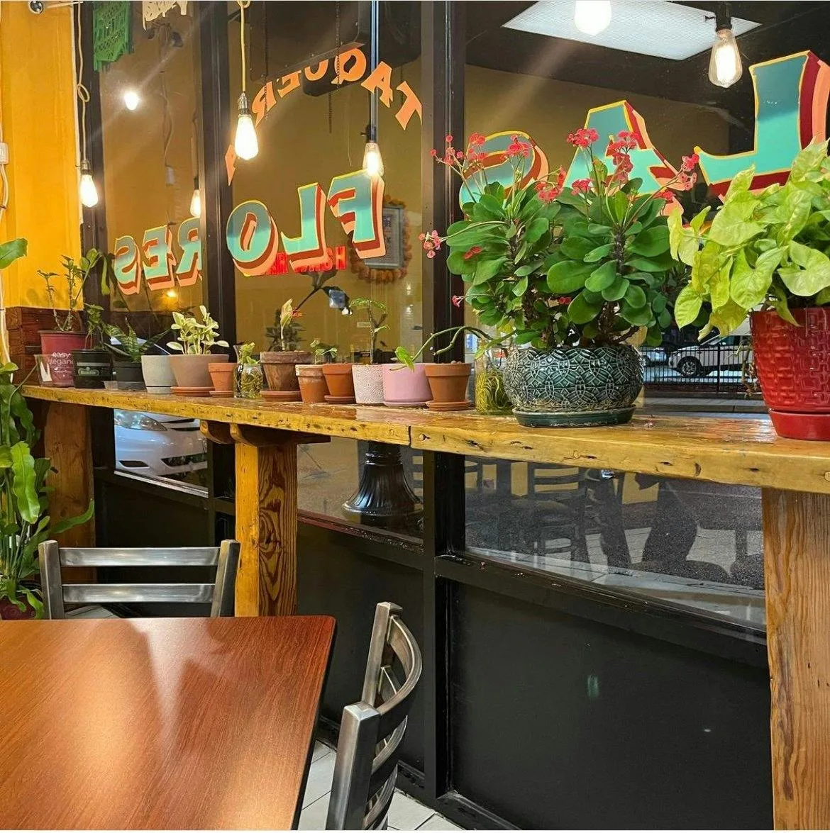 Northside Taqueria Near University Campuses — 4
