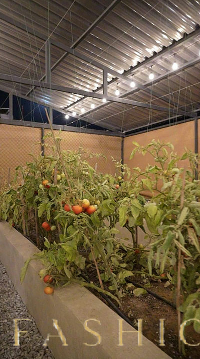 Open-Air Park Ideal for Corporate Events and Celebrations, 4000 sqm, pop-up rental in Dubai, third interior view