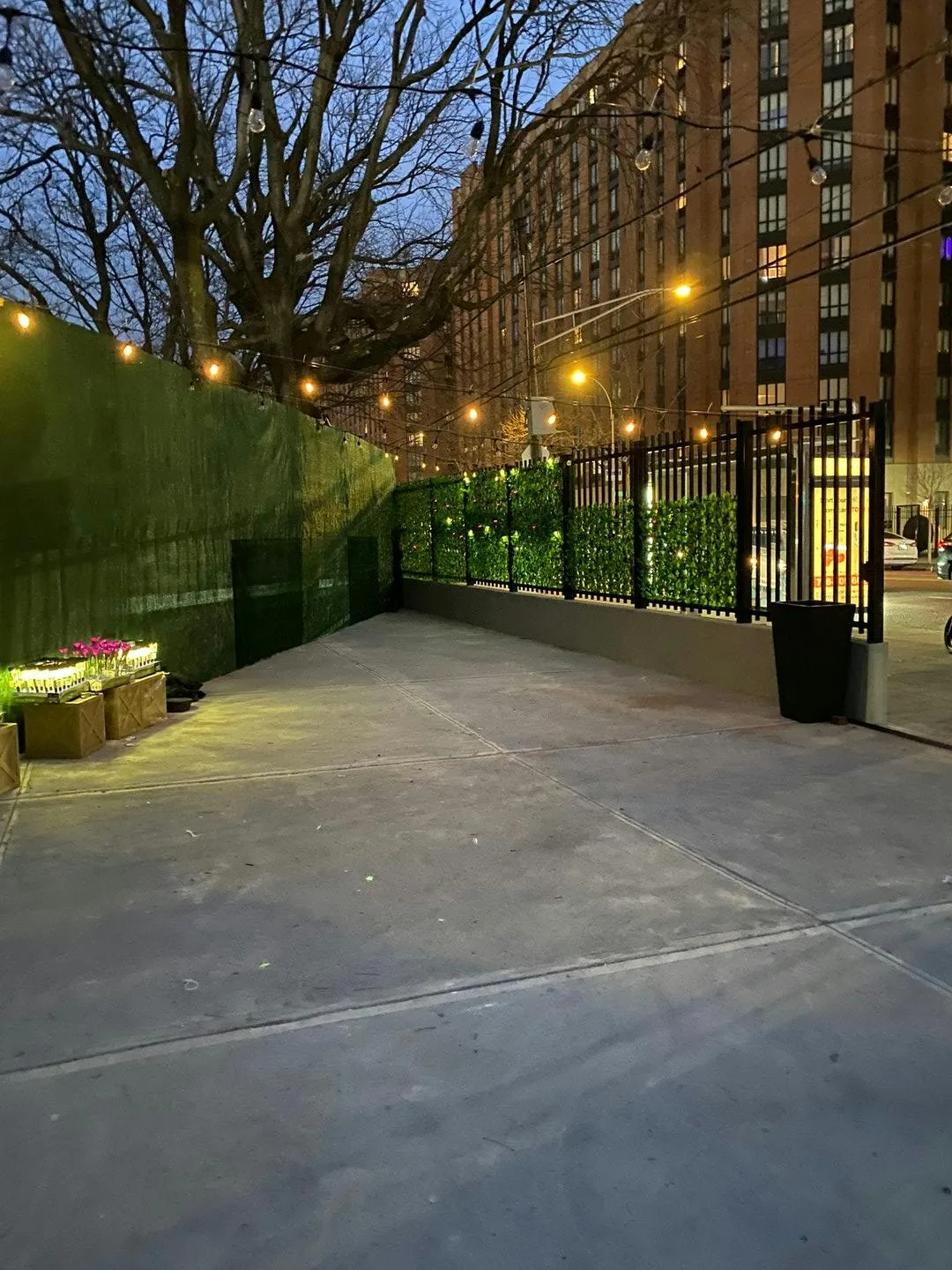 Outdoor Event Space in The Bronx — 3