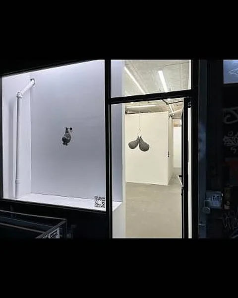 Recently Renovated 600 Sq Ft Gallery Space, 56 sqm, art exhibition, pop-up rental in New York, third interior view