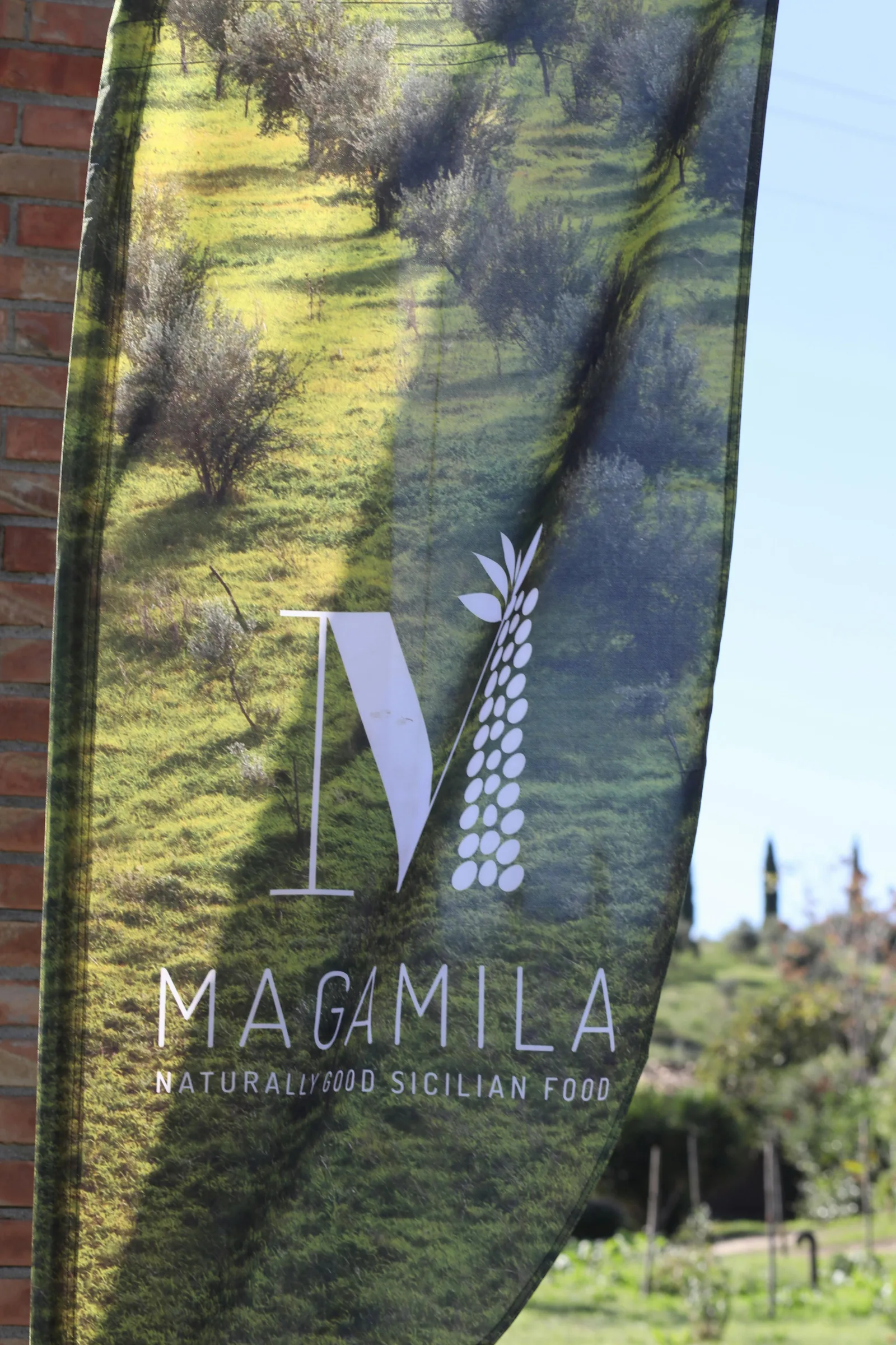 Rustic Sicilian Olive Farm and Historic Barn Venue — 5