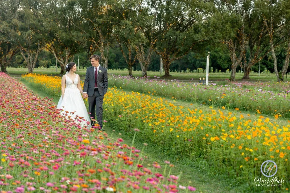 Secluded Florida Wildflower Fields and Chapel in Seffner