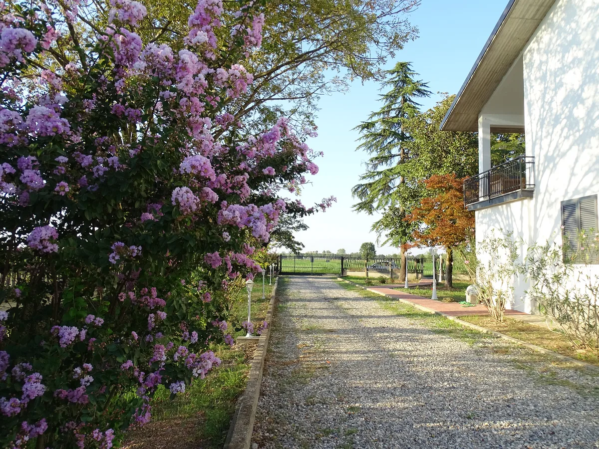 Serene Villa Near Milan with Spacious Garden, 280 sqm, showroom presentation, pop-up rental in Gerenzago, third interior view