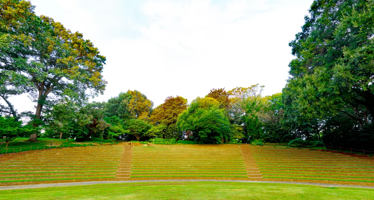 Stunning 5-Acre Outdoor Amphitheater Venue, 19974 sqm, wedding, pop-up rental in Raleigh, second interior view
