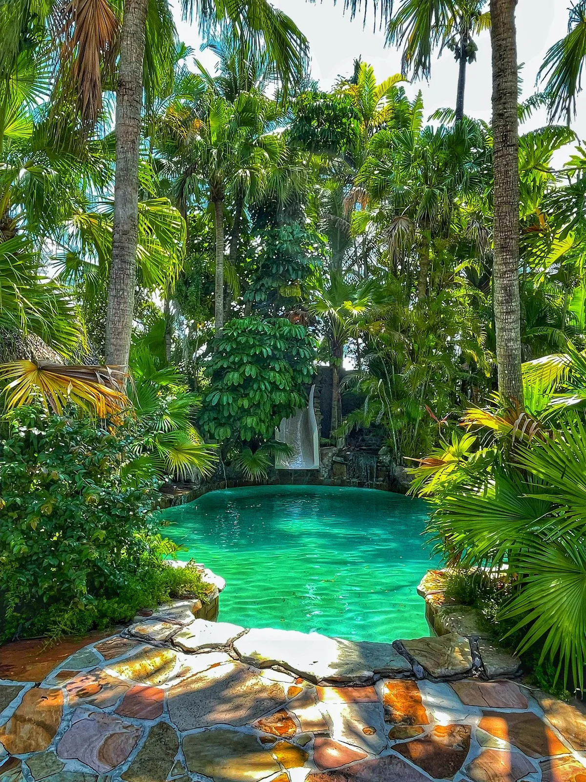 Tropical Oasis for Photoshoots and Video Productions, 2973 sqm, photo shoot, pop-up rental in Davie