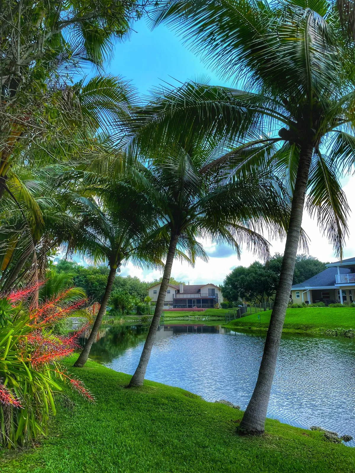 Tropical Oasis for Photoshoots and Video Productions, 2973 sqm, photo shoot, pop-up rental in Davie, interior view