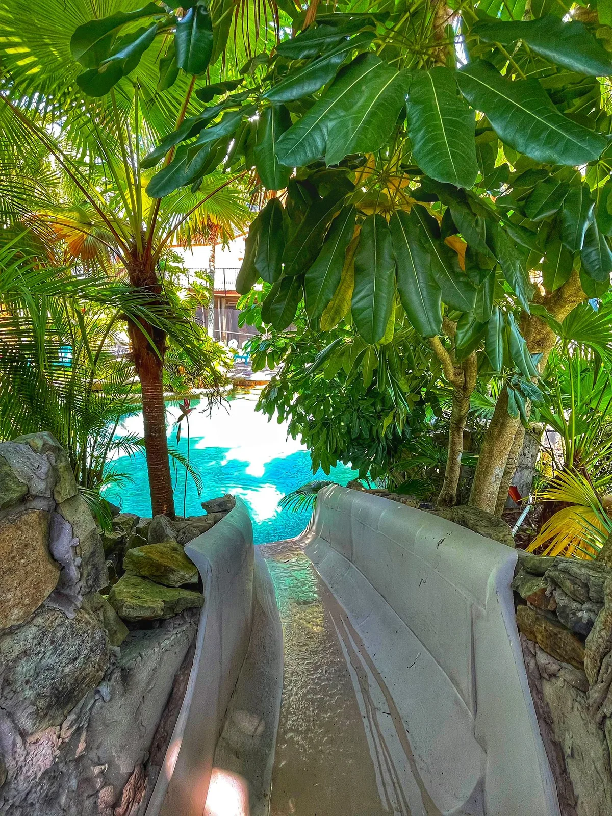 Tropical Oasis for Photoshoots and Video Productions, 2973 sqm, photo shoot, pop-up rental in Davie, second interior view
