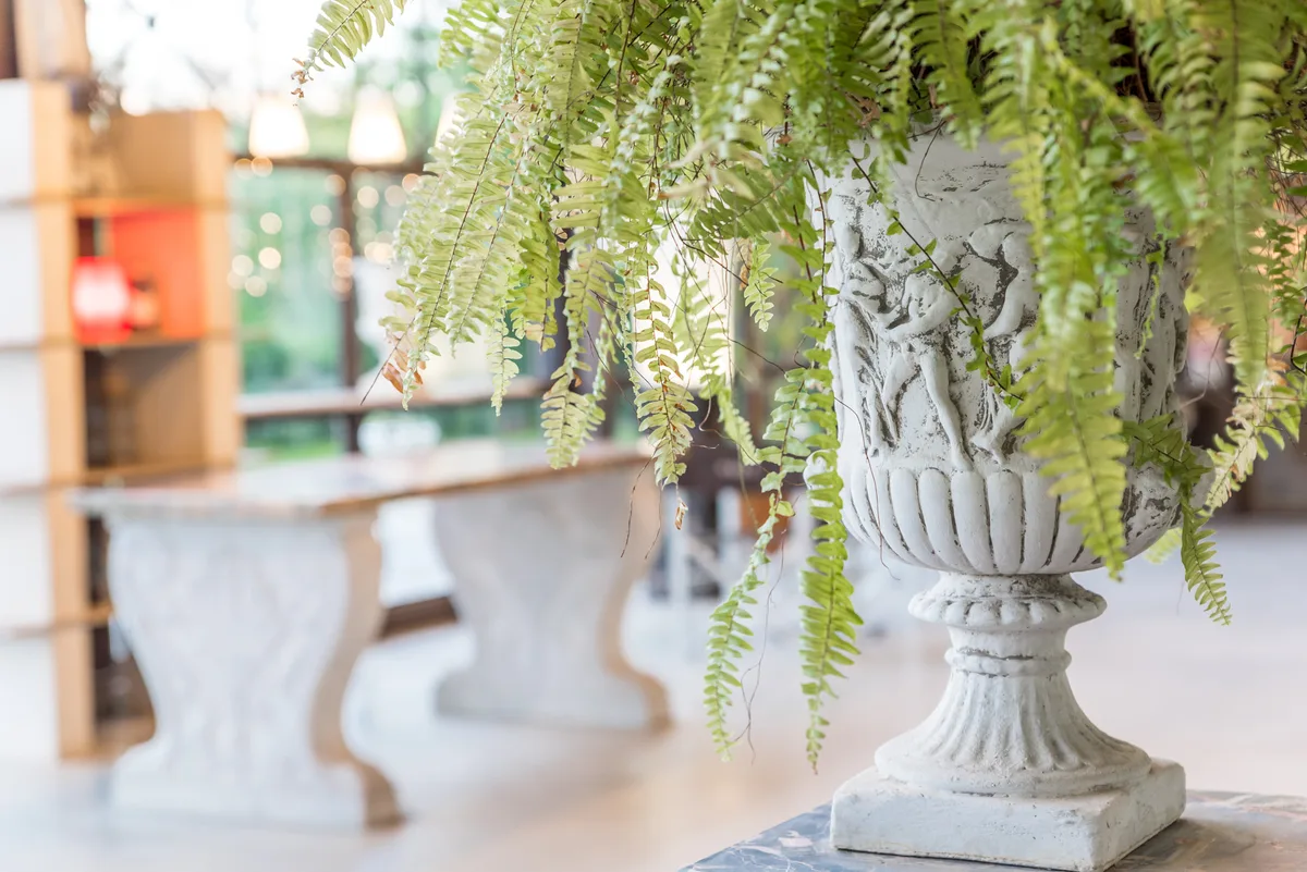 Unique Industrial Venue for Corporate Events, 1000 sqm, pop-up rental in Casano, interior view