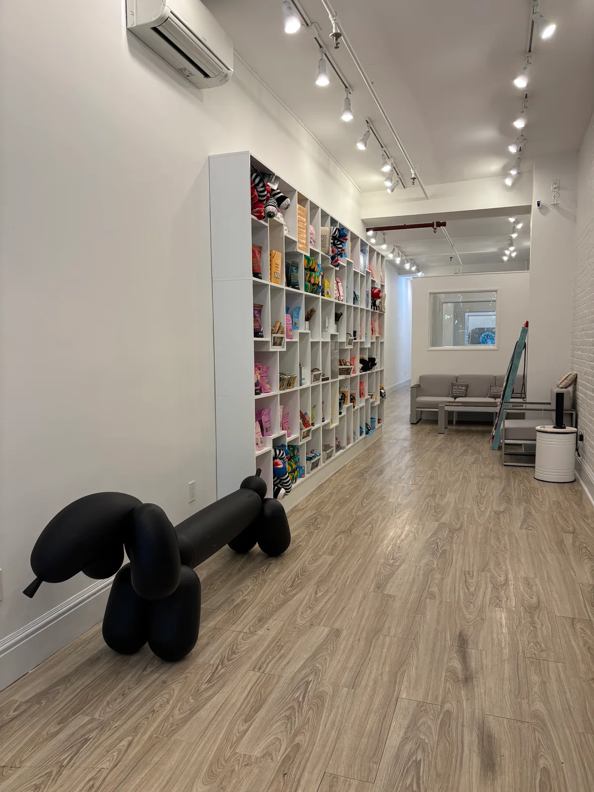 Unique Pet Brand Retail Space for Direct Engagement, 60 sqm, pop up store in New York, interior view