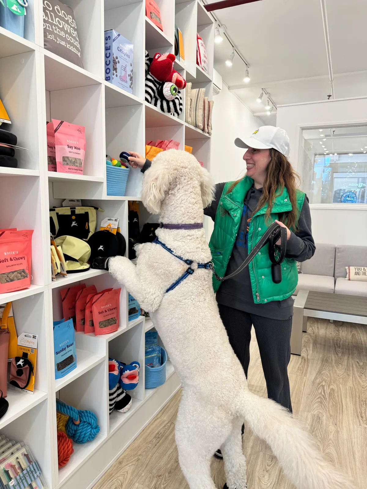 Unique Pet Brand Retail Space for Direct Engagement, 60 sqm, pop up store in New York, second interior view