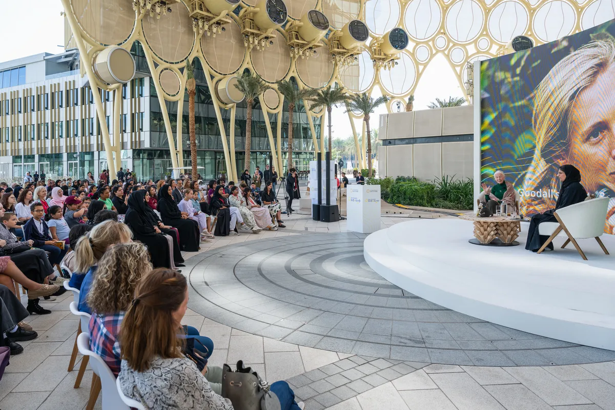 Versatile Event Space Available at Al Wasl Plaza, 441 sqm, private event, pop-up rental in Dubai