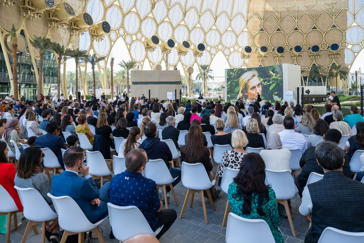 Versatile Event Space Available at Al Wasl Plaza, 441 sqm, private event, pop-up rental in Dubai, interior view