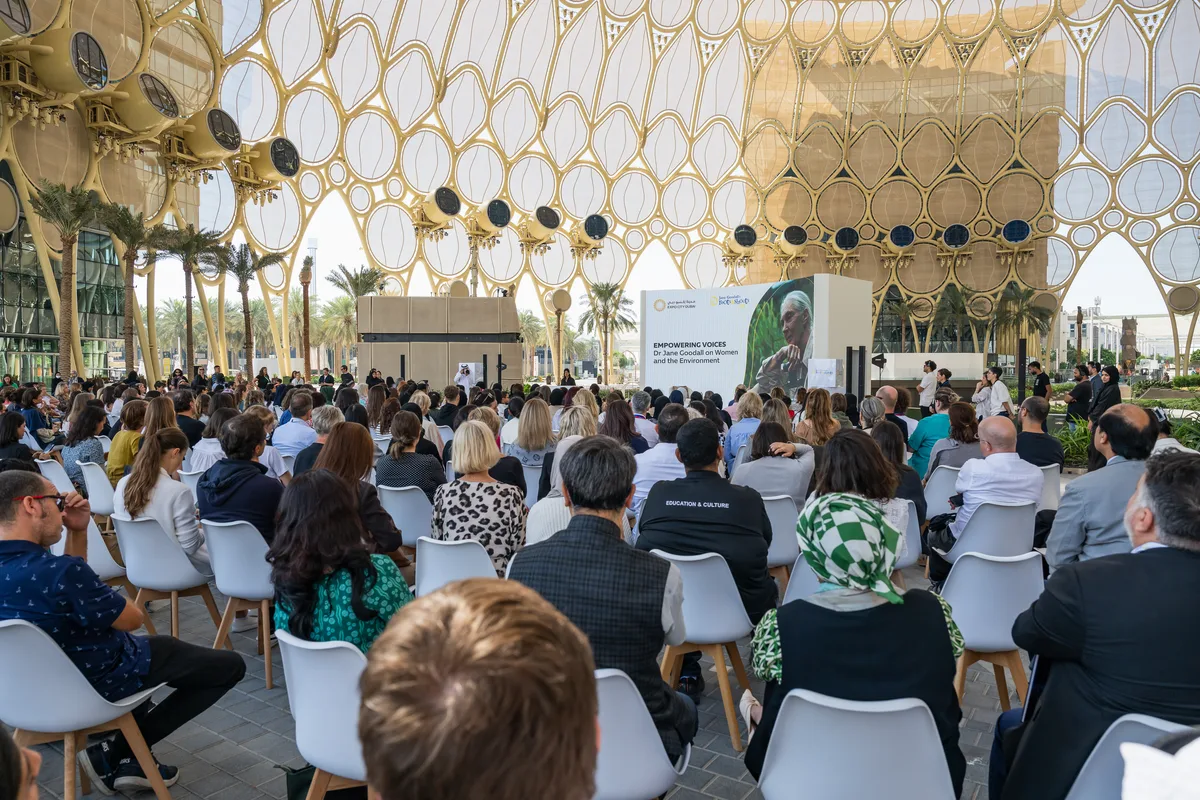 Versatile Event Space Available at Al Wasl Plaza, 441 sqm, private event, pop-up rental in Dubai, additional interior view