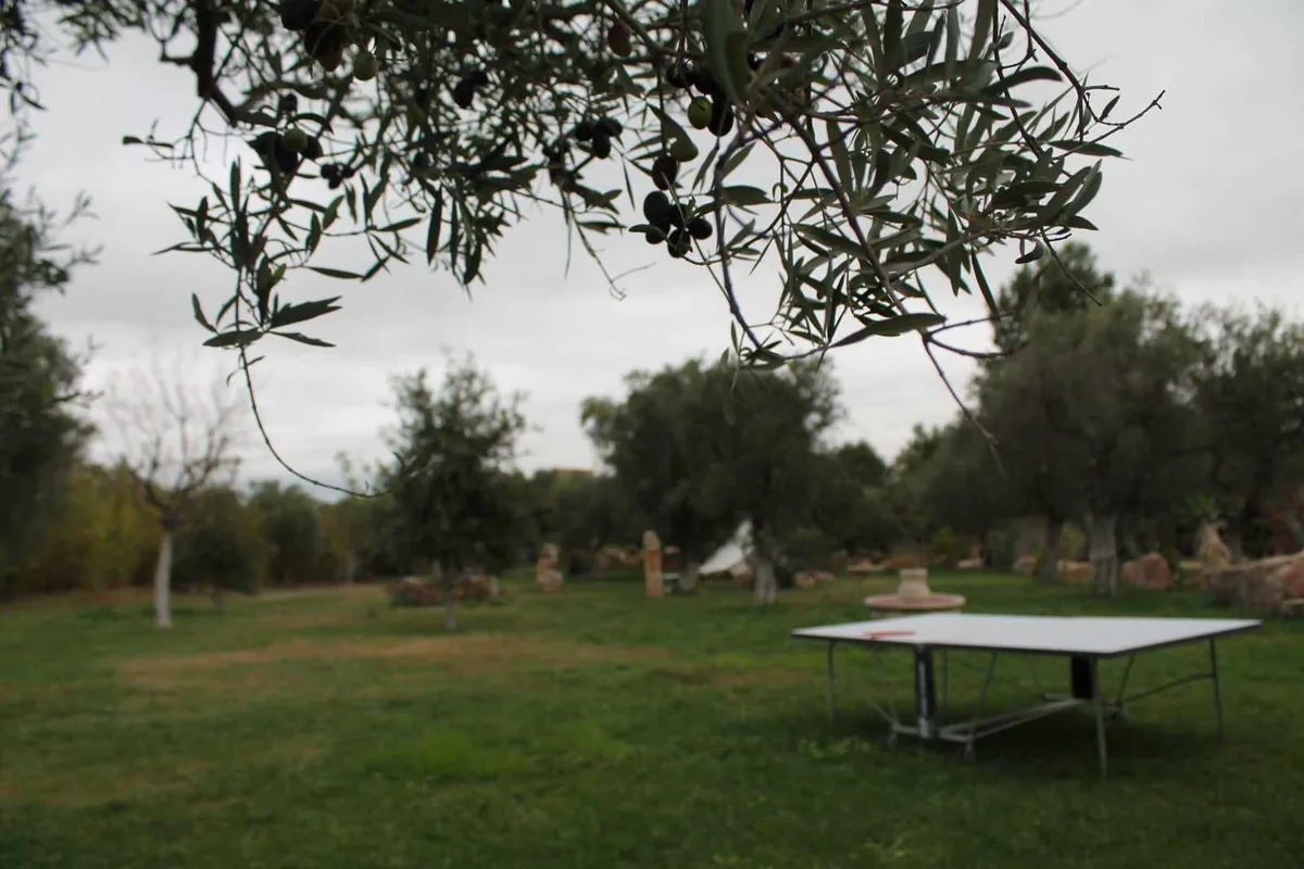 Versatile Event Space Surrounded by Nature, 1000 sqm, showroom presentation, pop-up rental in Sannicandro di Bari, interior…