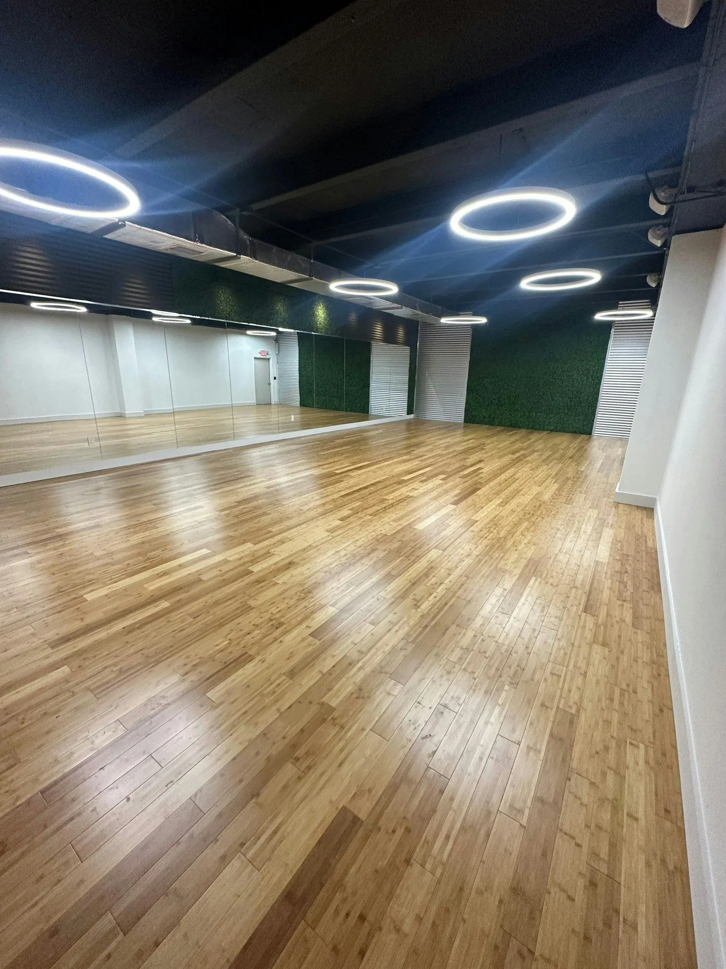 Yoga and Dance Studio on Biscayne Boulevard, Miami — 4
